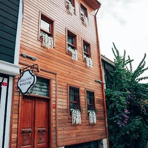 Gulliver Mansion Стамбул